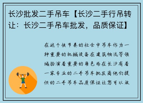 长沙批发二手吊车【长沙二手行吊转让：长沙二手吊车批发，品质保证】